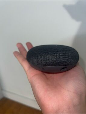 Google Home Nest Mini (1st Generation)